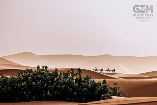 Fes, Morocco, Rabat, Tangier, Trips, Ouarzazate