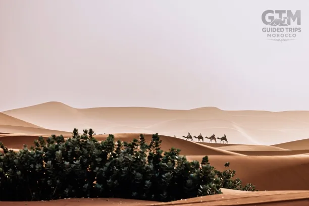 Fes, Morocco, Rabat, Tangier, Trips, Ouarzazate