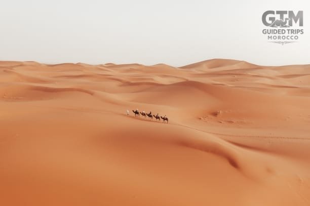 6 Days Desert tour from Tangier - Morocco itinerary 6 Days - Trips to Morocco - Tangier to Marrakech via Merzouga Desert, Fes, and Blue City.