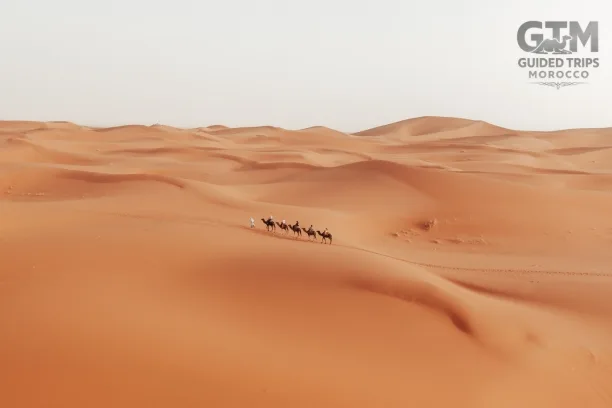 6 Days Desert tour from Tangier - Morocco itinerary 6 Days - Trips to Morocco - Tangier to Marrakech via Merzouga Desert, Fes, and Blue City.