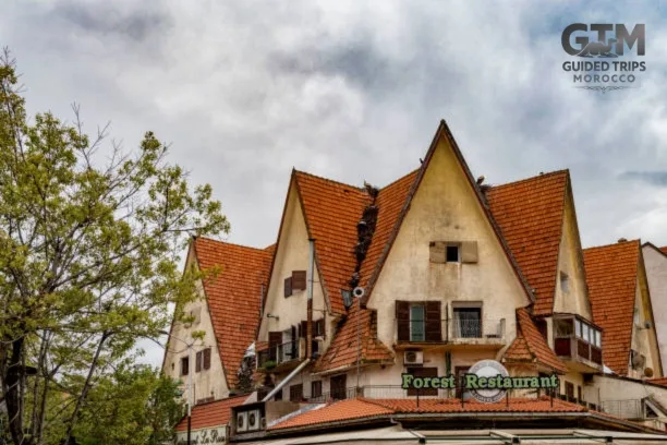 Day trip from Fes to Ifrane and Cedar Forest Middle Atlas Mountain, Best Morocco Trip from Fes to Ifrane and Middle Atlas Mountains, Travels.