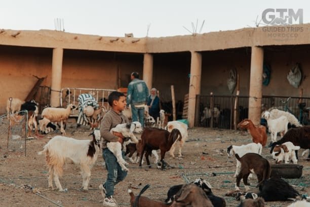 Marrakech, Casablanca, Merzouga, Tangier, Rabat, Casablanca