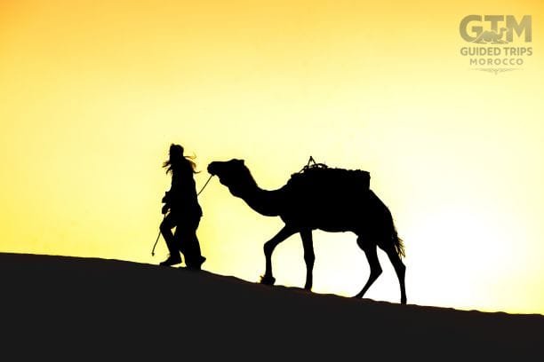 Fes, Tangier, Rabat, Essaouira, Casablanca, Ouarzazate, Dades