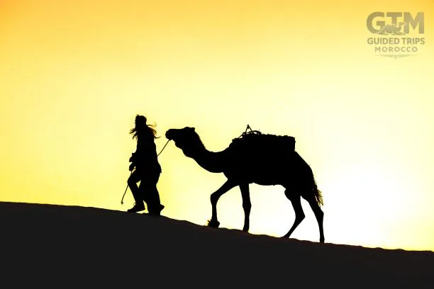 Fes, Tangier, Rabat, Essaouira, Casablanca, Ouarzazate, Dades